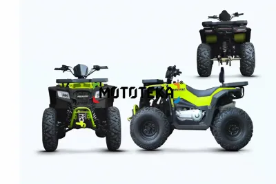 Квадроцикл Progasi (Прогаси) RaceJumper MaxPower 200 Nardo grey (машинокомплект)