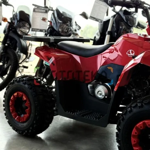 Квадроцикл детский YACOTA (Якота) RAPOSA 110 красный (машинокомплект) | Мототека