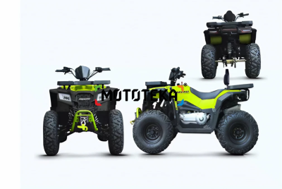 Квадроцикл Progasi (Прогаси) RaceJumper MaxPower 200 Nardo grey (машинокомплект)