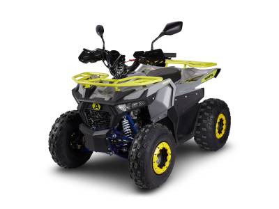 Квадроцикл детский Avantis (Авантис) Ray 8 Lux (A1) (машинокомплект)